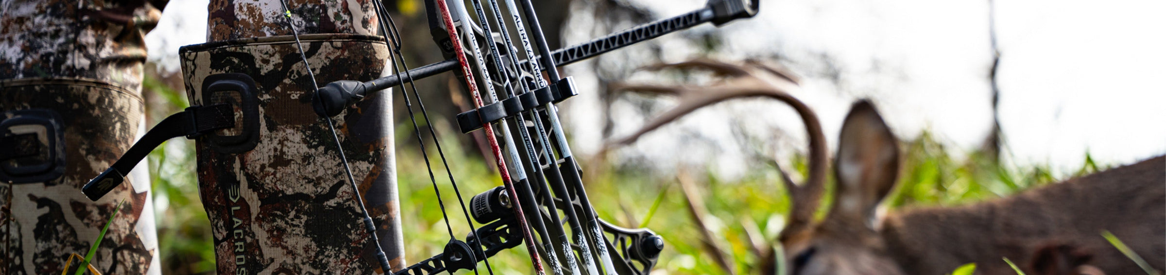 1234413_5 1234413_5
