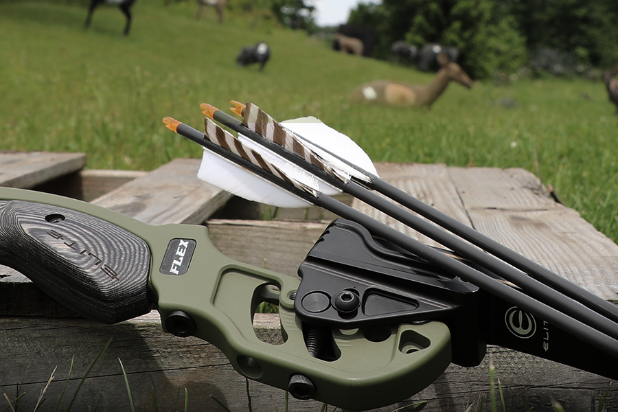 ELITE Archery - Archerie Frère Loup