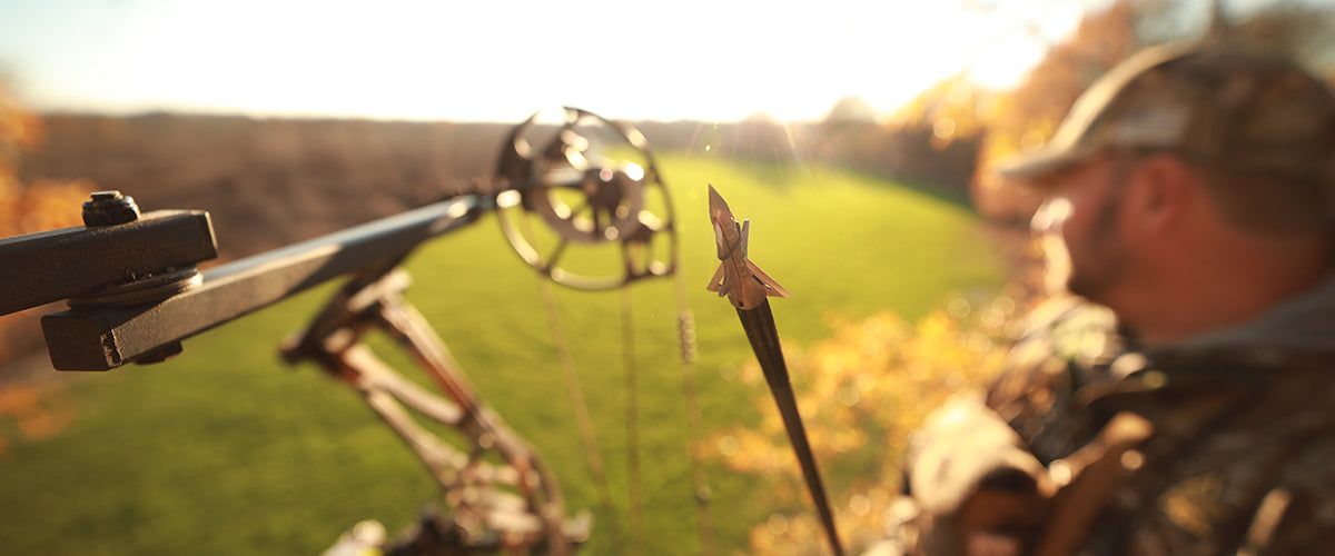 Broadheads Elite Archery