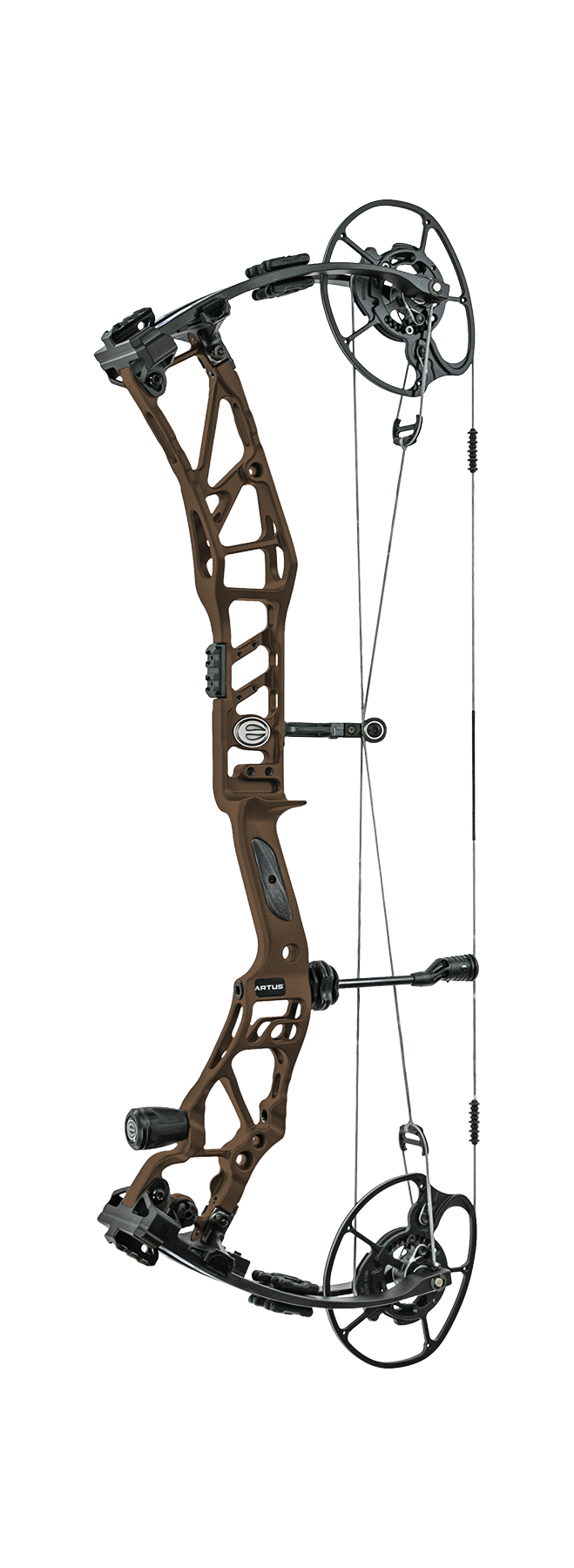 Arc classique complet Hoyt de 36 livres - STAM